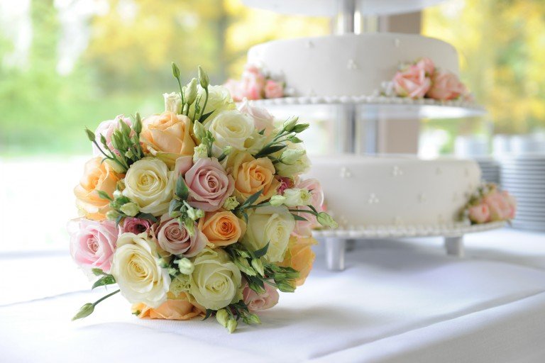 H A N S & S Y L V I A 6